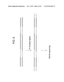 Method of Making a Paired Tag Library for Nucleic Acid Sequencing diagram and image