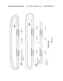 Method of Making a Paired Tag Library for Nucleic Acid Sequencing diagram and image