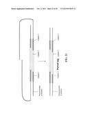 Method of Making a Paired Tag Library for Nucleic Acid Sequencing diagram and image