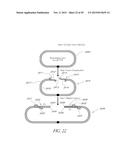 Method of Making a Paired Tag Library for Nucleic Acid Sequencing diagram and image