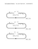 Method of Making a Paired Tag Library for Nucleic Acid Sequencing diagram and image