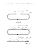 Method of Making a Paired Tag Library for Nucleic Acid Sequencing diagram and image