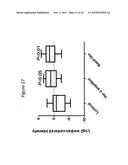 Chondroitin Sulfate Sulfotransferases and Proteoglycans as Cancer     Biomarkers: Use of Expression and Methalytion Status diagram and image