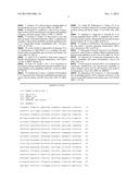 NON-INVASIVE DETECTION OF BLADDER CANCER BY FLOURESCENCE IN SITU     HIBRIDIZATION OF AURORA A diagram and image