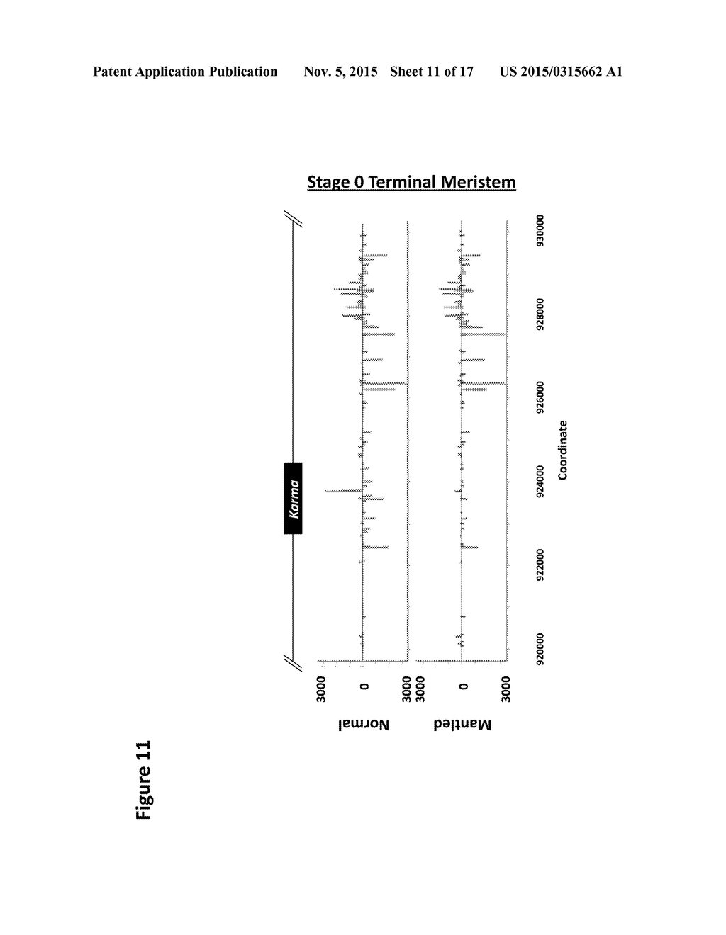 MANTLE PHENOTYPE DETECTION IN PALM - diagram, schematic, and image 12