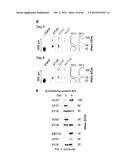 Electrophoretic Separation Devices and Methods for Using the Same diagram and image