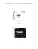 Electrophoretic Separation Devices and Methods for Using the Same diagram and image