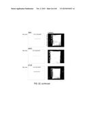 Electrophoretic Separation Devices and Methods for Using the Same diagram and image