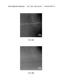 Electrophoretic Separation Devices and Methods for Using the Same diagram and image