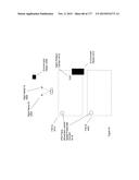 SEE-THROUGH COMPUTER DISPLAY SYSTEMS diagram and image