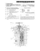 FLOW RATE CONTROLLER FOR HIGH FLOW RATES AND HIGH PRESSURE DROPS diagram and image