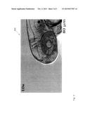 DEVICE AND METHOD FOR MICROSCOPY ON A PLURALITY OF SAMPLES diagram and image