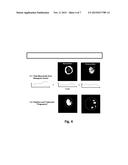 METHOD AND SYSTEM FOR CATEGORIZING HEART DISEASE STATES diagram and image