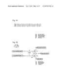 Pulse Output Circuit, Shift Register, and Display Device diagram and image