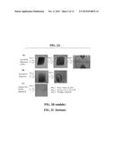 TRANSPARENT CONDUCTING FILMS CONTAINING SINGLE-WALLED CARBON NANOTUBES     DISPERSED IN AN AZO DYE diagram and image