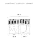 TRANSPARENT CONDUCTING FILMS CONTAINING SINGLE-WALLED CARBON NANOTUBES     DISPERSED IN AN AZO DYE diagram and image