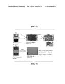 TRANSPARENT CONDUCTING FILMS CONTAINING SINGLE-WALLED CARBON NANOTUBES     DISPERSED IN AN AZO DYE diagram and image