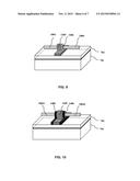 TUNNELING NANOTUBE FIELD EFFECT TRANSISTOR AND MANUFACTURING METHOD     THEREOF diagram and image