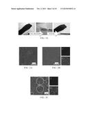 BIFUNCTIONAL SEPARATORS FOR LITHIUM-SULFUR BATTERIES diagram and image