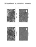 BIFUNCTIONAL SEPARATORS FOR LITHIUM-SULFUR BATTERIES diagram and image