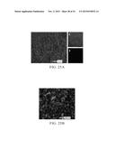 BIFUNCTIONAL SEPARATORS FOR LITHIUM-SULFUR BATTERIES diagram and image