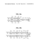 RF STRUCTURE OF USER TERMINAL FOR SUPPORTING MULTI-CARRIER AGGREGATION AND     VARIOUS COMMUNICATION RADIO ACCESS TECHNOLOGIES diagram and image