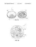 BIODEGRADABLE WORM-EGG-DELIVERY SYSTEM FOR SOIL ENHANCEMENT AND METHODS OF     USE diagram and image