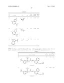 (HETERO) ARYLACRYLAMIDES FOR THE CONTROL OF ECTOPARASITES diagram and image