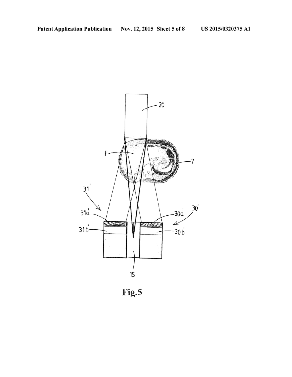 DEVICE AND METHOD FOR RADIOGRAPHIC AND NUCLEAR IMAGING OF AN OBJECT - diagram, schematic, and image 06