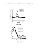 TORIC FOCUSING FOR RADIATION FORCE APPLICATIONS diagram and image