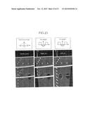 ULTRASONOGRAPHY APPARATUS AND ULTRASONIC IMAGING METHOD diagram and image