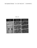 ULTRASONOGRAPHY APPARATUS AND ULTRASONIC IMAGING METHOD diagram and image