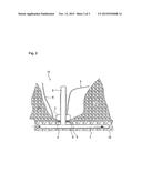 Balloon Catheter for Treating Enteroatmospheric Fistulae in an Open     Abdomen diagram and image