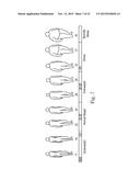 LENGTH-TO-WAIST SILHOUETTES OF ADULT DISPOSABLE ABSORBENT ARTICLES AND     ARRAYS diagram and image