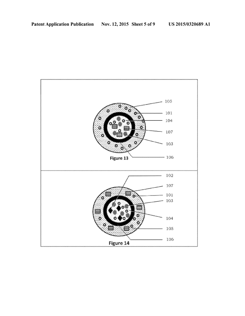 ABUSE DETERRENT IMMEDIATE RELEASE COATED RESERVOIR SOLID DOSAGE FORM - diagram, schematic, and image 06