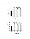 METHODS OF TREATING DIABETES BY ADMINISTERING A GLUCAGON RECEPTOR     ANTAGONIST IN COMBINATION WITH A CHOLESTEROL ABSORPTION INHIBITOR diagram and image