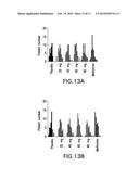 METHODS OF TREATING DIABETES BY ADMINISTERING A GLUCAGON RECEPTOR     ANTAGONIST IN COMBINATION WITH A CHOLESTEROL ABSORPTION INHIBITOR diagram and image