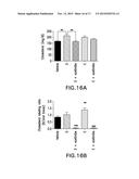 METHODS OF TREATING DIABETES BY ADMINISTERING A GLUCAGON RECEPTOR     ANTAGONIST IN COMBINATION WITH A CHOLESTEROL ABSORPTION INHIBITOR diagram and image