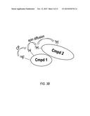 PHARMACEUTICAL COMPOSITIONS FOR THE TREATMENT OF CYSTIC FIBROSIS     TRANSMEMBRANE CONDUCTANCE REGULATOR MEDIATED DISEASES diagram and image