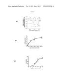 N-METHYLSEROTONIN AND RELATED SUBSTANCES FOR USE IN TREATING / LESSENING     THE OCCURRENCE OF HOT FLASHES RELATED TO MENOPAUSE diagram and image