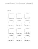 COMPOSITIONS AND METHODS FOR TREATMENT OF PAIN diagram and image