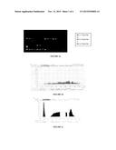 MICROBIOCIDES FROM PLANT EXTRACTS FOR PROTECTION AGAINST HSV 2 INFECTION diagram and image