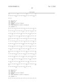 SAPOSIN-A DERIVED PEPTIDES AND USES THEREOF diagram and image