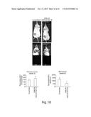 SAPOSIN-A DERIVED PEPTIDES AND USES THEREOF diagram and image