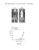 SAPOSIN-A DERIVED PEPTIDES AND USES THEREOF diagram and image