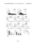 NEW ITCH TREATMENT USING A COMBINATION OF NEUROKININ-1, GASTRIN RELEASING     PEPTIDE, AND GLUTAMATE RECEPTOR ANTAGONISTS diagram and image