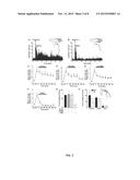 NEW ITCH TREATMENT USING A COMBINATION OF NEUROKININ-1, GASTRIN RELEASING     PEPTIDE, AND GLUTAMATE RECEPTOR ANTAGONISTS diagram and image