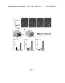 NEW ITCH TREATMENT USING A COMBINATION OF NEUROKININ-1, GASTRIN RELEASING     PEPTIDE, AND GLUTAMATE RECEPTOR ANTAGONISTS diagram and image