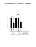 A COMPOSITION FOR PREVENTING OR TREATING AN RNA VIRAL INFECTION COMPRISING     SAMHD1 OR A NUCLEIC ACID MOLECULE ENCODING THE SAMHD1 diagram and image