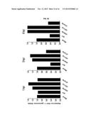 A COMPOSITION FOR PREVENTING OR TREATING AN RNA VIRAL INFECTION COMPRISING     SAMHD1 OR A NUCLEIC ACID MOLECULE ENCODING THE SAMHD1 diagram and image